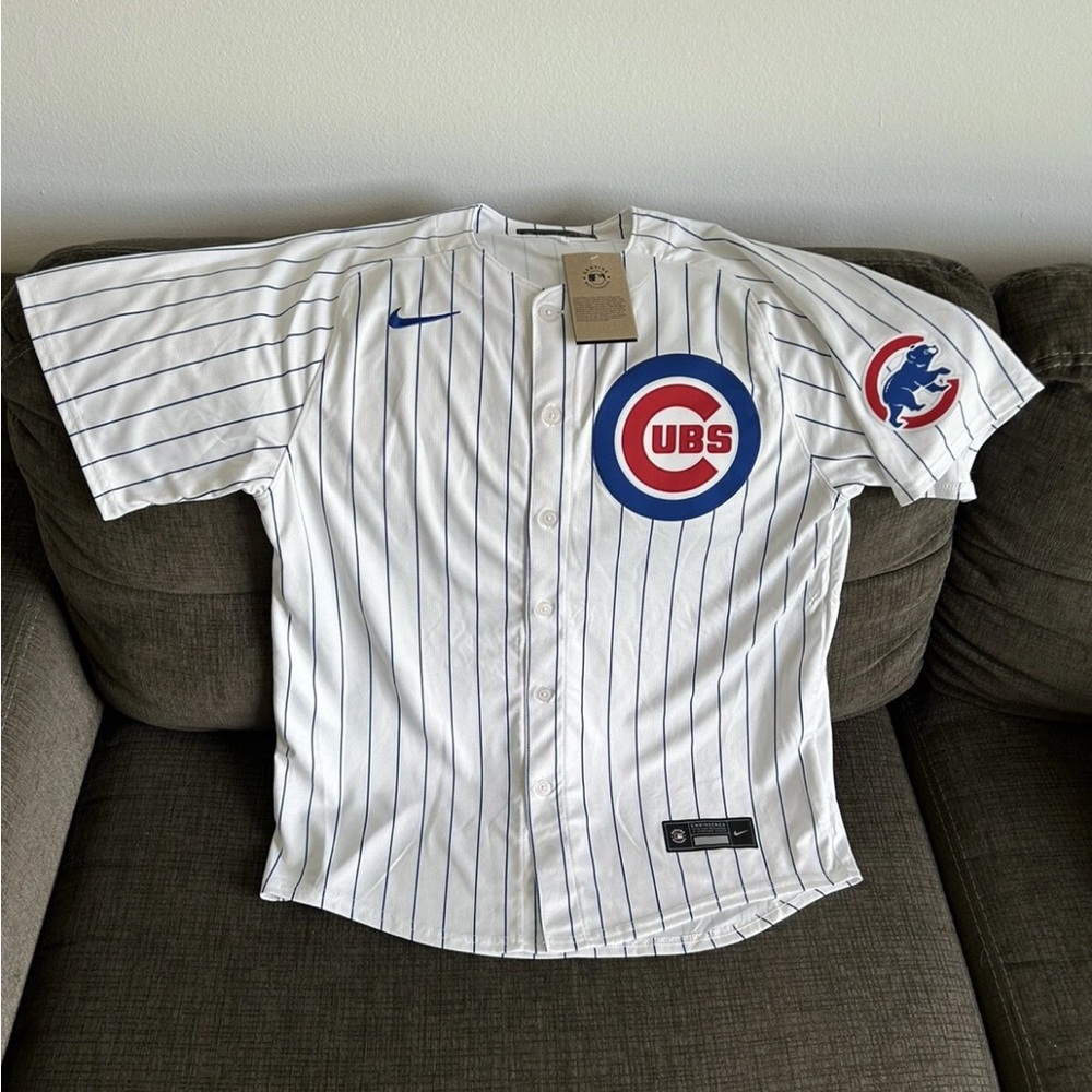 Nike Authentic Pinstripe Chicago Cubs Kyle Tucker #30 MLB Jersey Men’s Sz: L